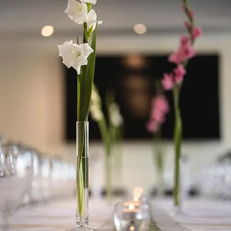 酒店 福斯坦霍夫同情心酒店 巴特克罗伊茨纳赫